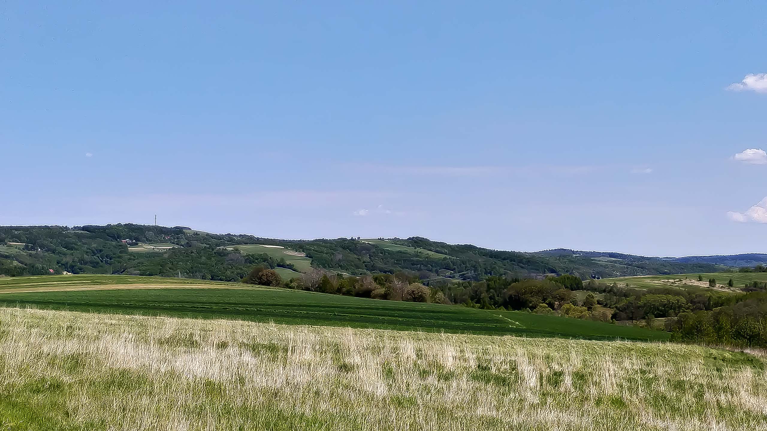 IMG 20200510 122534 kopia